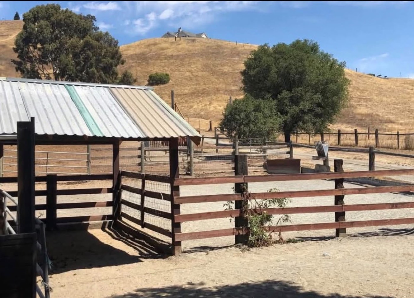 An open-front run-in shed with a corrugated metal roof beside wooden paddock fencing